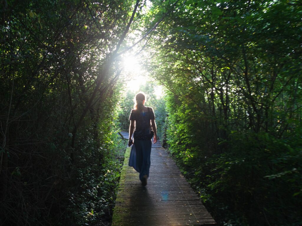 passeggiata in natura bosco costa degli etruschi